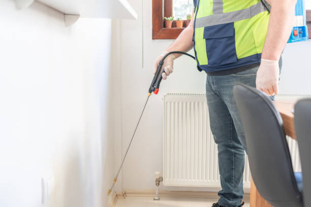 Best Ant Control Services  in Briar Chapel, NC