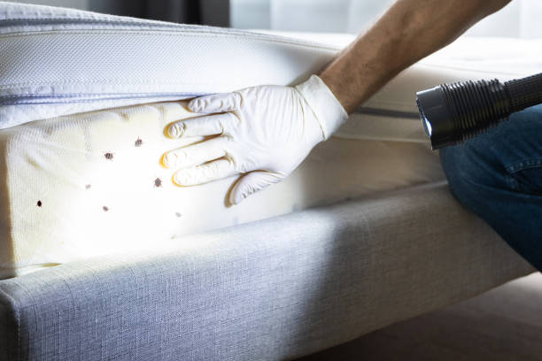 Best Pest Control for Restaurants  in Briar Chapel, NC